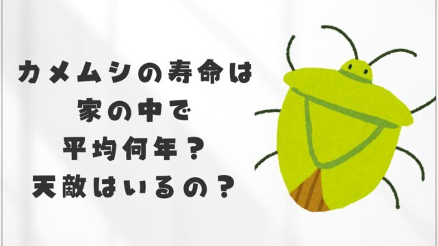 カメムシの寿命は家の中で 平均何年？ 天敵はいるの？